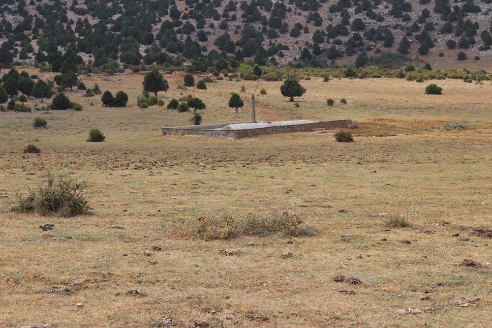 Dağsarnıcı Yaylası